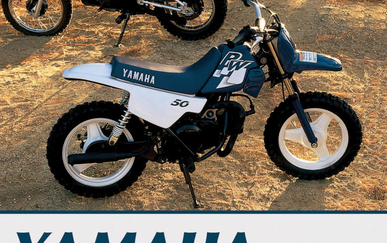 Kit déco piwi 50 1997