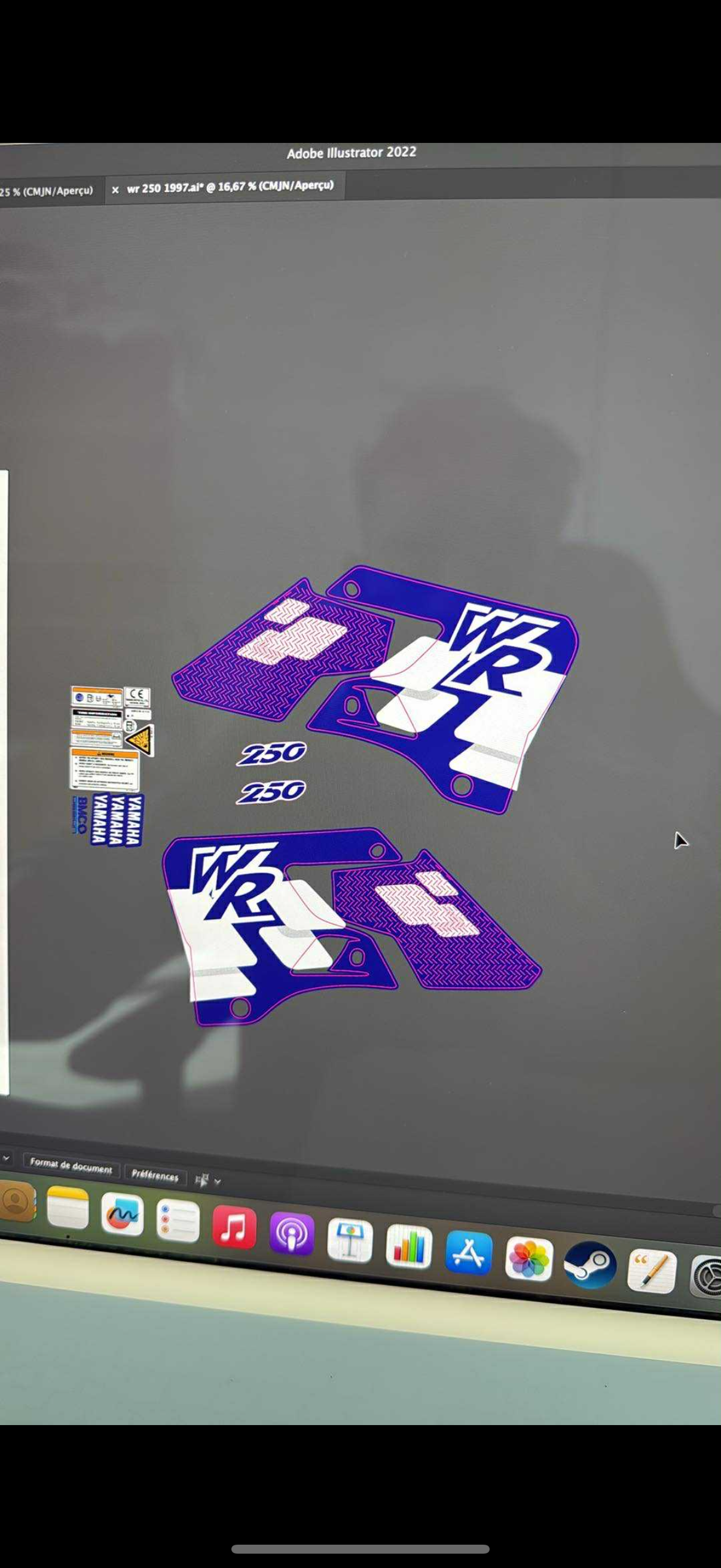 Kit déco wr 250 1998