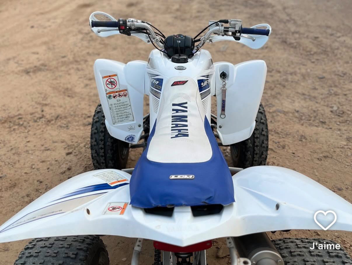 Kit déco 350 Raptor 2008