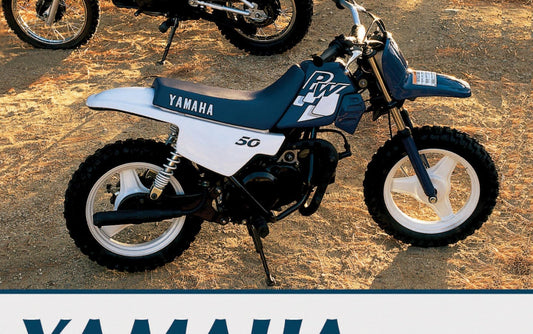 Kit déco piwi 50 1997