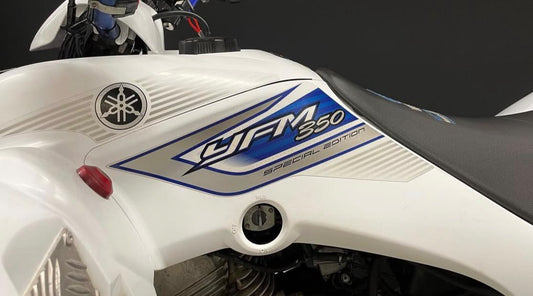 Kit déco 350 Raptor 2008